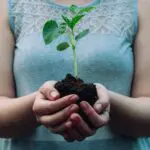 Planter des arbres indigènes