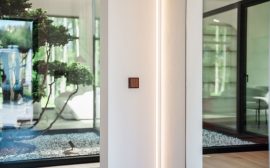 Modern interior with a small bonsai tree and large windows