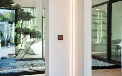 Modern interior with a small bonsai tree and large windows