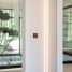 Modern interior with a small bonsai tree and large windows