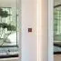 Modern interior with a small bonsai tree and large windows