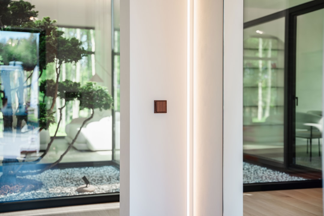 Modern interior with a small bonsai tree and large windows